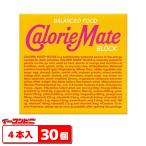 大塚製薬 カロリーメイトブロック メープル 4本入 x 30個