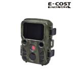 【 コストコ 】サイトロン 赤外線無人撮影カメラ ミニ　STR-MiNi300