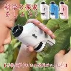 学習用顕微鏡 自由研究に!小学生 子供用 携帯顕微鏡 ズーム機能 ZOOM 60〜120倍 観察ノート 携帯用 コンパクト 野外観察 おもちゃ 知育玩具 送料無料