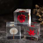  бесплатная доставка консервированный цветок ... цветок . живые цветы .. нет цветок подарок подарок сухой цветок церемония окончания день совершеннолетия . человек брак праздник .. она брак память день 