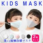 洗えるマスク 2枚入り マスク 冷感 冷感マスク 夏用マスク 夏マスク 接触冷感 洗える 子供 子供用 メッシュ 接触冷感マスク