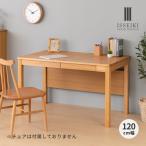 学習デスク 学習机 勉強机 シンプル 子供 大学生 収納 おしゃれ アドット 120 ISSEIKI
