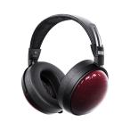 FIIO FT13 Natural 【FIO-FT13-