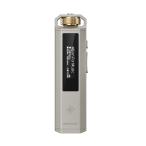(8 месяц 7 день продажа предположительно ) FIIO Snowsky ECHO NANO Titanium Gold FIO-SSENANO-G аудио плеер Mini maru 3.5mm 4 высшее microSD слот USB DACfi-o