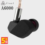 final A6000 有線 イヤホン カナル型 耳かけ型 シュア掛け リケーブル対応 2pin 3.5mm シングルエンド ファイナル (FI-A6DPLD)