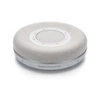 beyerdynamic SPACE nordic grey беспроводной Bluetooth динамик phone 