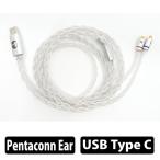 intime nOmaDAC PCUHD×Ag-coat for Pentaconn ear слуховай аппарат кабель li кабель DAC Pentaconn ear Type-C PCUHD anti -m[ группа C]