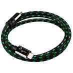 Cayin CS-30TCR Type-C to RCA коаксильный кабель 