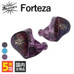 Kiwi Ears Forteza Purple 有線イヤホン カ