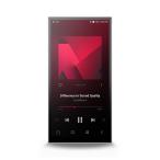 Astell&amp;Kern PD10 Silver[IRV-AK-PD10-SV] цифровой аудио плеер DAP в высоком разрешени баланс Bluetooth LDACa стерео ru and kerun