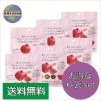 【送料無料】 たかくら新産業 百年はちみつグミ ざくろ味 49g（14粒）×6袋セット ギルトフリー ビタミン ポリフェノール お返し お礼 プチギフト