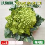 romanesko cut 1/2 шар прекрасный внешний вид. обеденный стол ...! здоровье . прекрасный тест ... обе . побудить совершить запад овощи Fukuoka префектура производство 