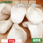  белый красота .( Haku Ray dake) 6~8шт.@500g степень [ бог .]. называется китайское лекарство лекарство. сырье . высококлассный пищевые ингредиенты как название высокий .. . Nagano префектура производство 