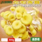 ta...300g упаковка | β-g LUKA n изобилие! кулинария . блестящий ... желтый золотой .. . Nagano префектура * префектура Аичи производство 