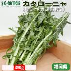 kata low nya390g степень мясная кулинария. установка соединять оптимальный . Испания рождение. Италия синий . Fukuoka префектура производство 