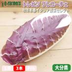  итальянский chi колли torebiso Plecostomus - che 3 шт. комплект осень-зима книга@ номер Италия овощи ... обеденный стол Ooita префектура производство 