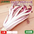 torebiso*taru чай bo 1 шт. выбрать по размеру зимний ... называется elegance . внешность . способ тест Fukuoka префектура производство 