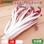 torebiso*taru чай bo3 шт. комплект выбрать по размеру зимний ... называется elegance . внешность . способ тест Fukuoka префектура производство 