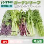  сад leaf 50g степень ... великолепный 5 вид. ассортимент комплект Saitama префектура производство 