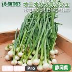 oni on Blanc shuPro 30шт.@ коробка Франция рождение. белый шар лук порей!........ есть тест .. Shizuoka префектура производство 