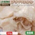  натуральный .. . бук - litake300g степень |.... еда чувство . лес иметь целью . редкий местного производства натуральный .. . Akita префектура производство 