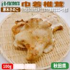 . дерево .. . мешочек ..( кошелек ....) 1~2 листов 100g степень натуральный ... .. менять необычность . рождение . Япония только. .. Akita префектура производство 