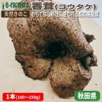  натуральный .. ...(koutake)kasa. диаметр 15cm степень 150g степень ... нет кулинария . используется . иллюзия. высококлассный . Akita префектура производство 