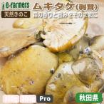  натуральный .. .mkitake( шелушение .) Pro бесплатная доставка 1Kg степень | тянуть n считая . еда чувство .... аромат . очарование. осень .. . Akita префектура * Nagano префектура производство 