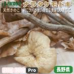  натуральный .. .nalatakemo при Pro 1Kg степень бесплатная доставка рисунок .tsuba. нет . близко . прекрасный тест .. натуральный .. . Nagano префектура производство 