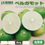  бергамот Pro 10 шт бесплатная доставка японский большой земля .... свежесть выдающийся аромат . повседневный .... блестящий . постановка делать редкостный ... Saga префектура производство 