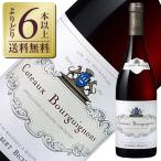 赤ワイン フランス ブルゴーニュ アルベール ビショー コトー ブルギニョン 2021 750ml