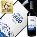 赤ワイン アルゼンチン アンデルー�