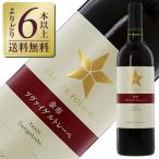 赤ワイン 国産 スタンダード シリーズ グランポレール 余市 ツヴァイゲルトレーベ 2021 750ml 日本ワイン
