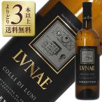 白ワイン イタリア ルナエ エチケッタ ネーラ コッリ ディ ルーニ ヴェルメンティーノ 2023 750ml