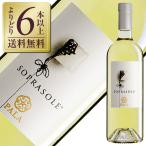 白ワイン イタリア パーラ ソプラソーレ ヴェルメンティーノ 2024 750ml