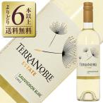 白ワイン チリ テラノブレ ヴァラエタル ソーヴィニヨンブラン 2023 750ml