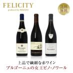 350円OFFクーポン 【8】赤ワインセット フランス ドメーヌ ブルゴーニュ ピノ ノワール3本セット 第20弾 750ml×3 送料無料 包装不可 ワインセット