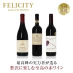 650円OFFクーポン 【10】赤ワインセット 贅沢に楽しむ 至高の赤ワイン 3本セット 第21弾 750ml×3 送料無料 包装不可 飲み比べ ワインセット