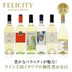 300円OFFクーポン 【13】白ワインセット ワイン王国「イタリア」の白ワイン6本セット 第14弾 750ml×6 送料無料 包装不可 飲み比べ ワインセット