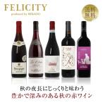 400円OFFクーポン 【1】赤ワインセット 冷やしておいしい 夏の赤ワイン5本セット 第1弾 750ml×5 送料無料 包装不可  飲み比べ ワインセット