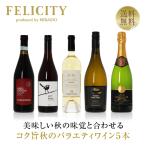 400円OFFクーポン 【3】季節と楽しむワイン！ 初夏のバラエティ5本セット 第1弾 750ml×5  送料無料 包装不可 飲み比べ ワインセット