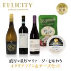 チーズ ワインセット 濃厚x重厚マリアージュを味わうイタリアワイン＆チーズセット 750ml×3 送料無料 クール代込 包装不可 ワインセット