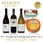 ショッピングチーズ ワインセット チーズ大国フランスが誇る珠玉のマリアージュ ワイン＆チーズセット 750ml×3 送料無料 クール代込 包装不可