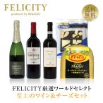 チーズ ワインセット FELICITY厳選ワールドセレクト 至上のワイン＆チーズセット 750ml×3 送料無料 クール代込 包装不可 ワインセット
