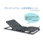  France Bed электрический единица TRG31N одиночный 2 motor электрический bed единица одиночный электрический наклонный France Bed специальный пересадка возможность независимый поддержка 