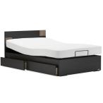  France Bed тонкий электрический bed UD-101F одиночный 2 motor электрический bed электрический наклонный Flat do Roar модель выдвижной ящик имеется сделано в Японии коврик 