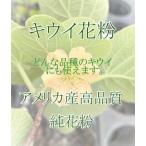 人工授粉用キウイ　花粉　1袋（郵便速達でお送りします。）