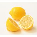  лимон a Len You reka контактный дерево рассада 1 шт. 