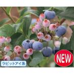  голубика унция low .. дерево 5 номер 1 шт. 