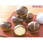 kli прекрасный ..(PVP) контактный дерево рассада 1 шт. 